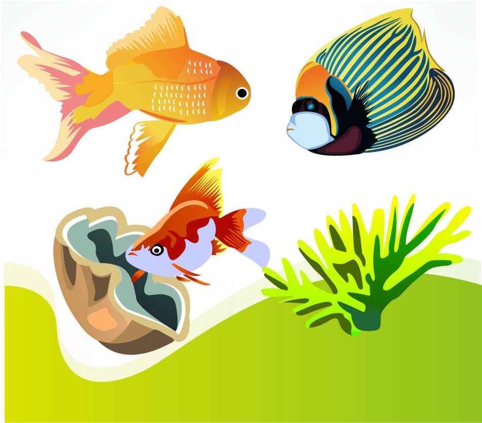 illustration with aquarium fish