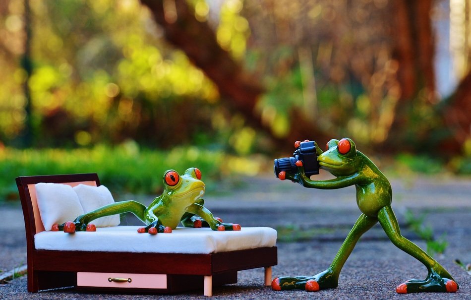 porcelain frog with camera