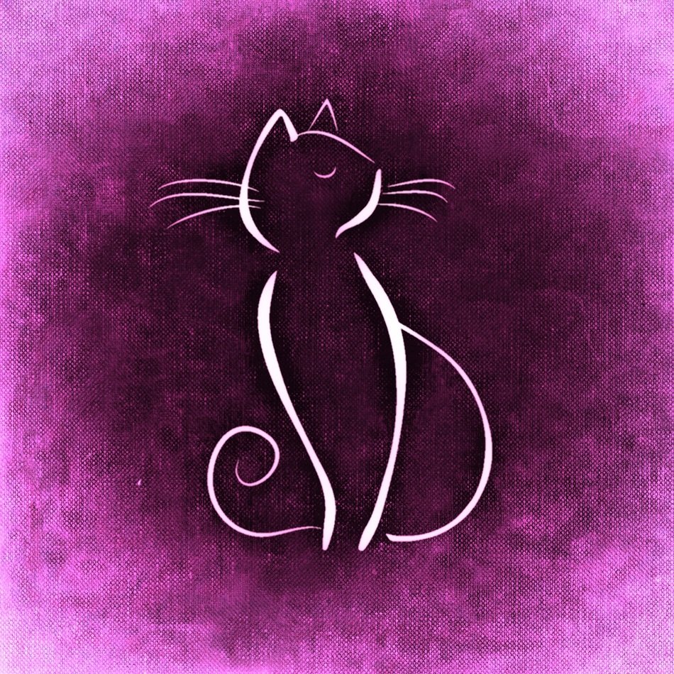 white silhouette of a cat on the purple background