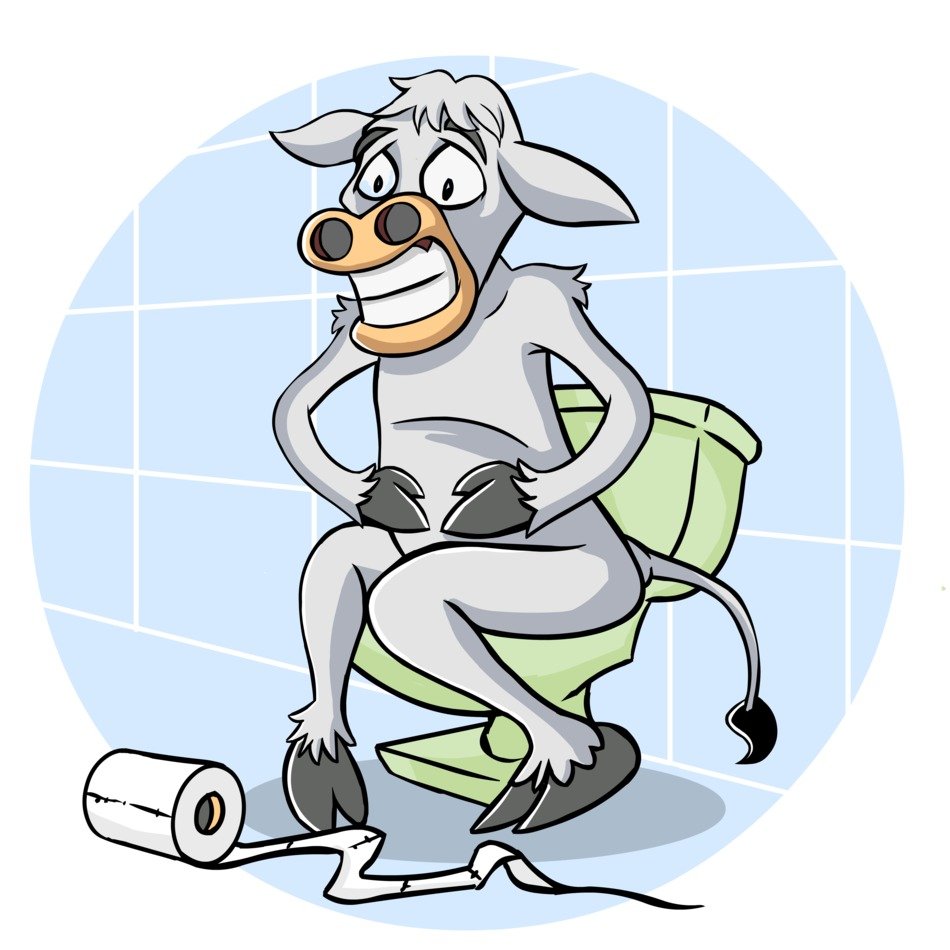 cow on the toilet drawing