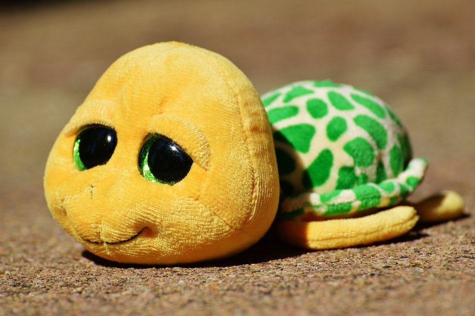 soft toy turtle