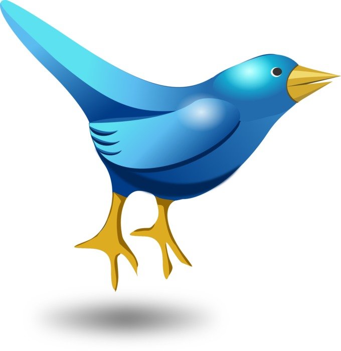 illustration of a twittering blue bird