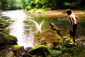 dog with a boy on a pond in the forest