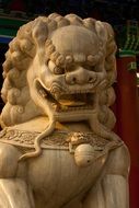 statue of chinese lion in Asia