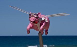 Pig Flying art Sculpture, australia, exhibition