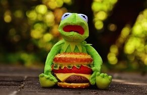 green frog sitting with cheeseburger