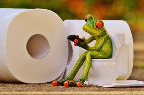 funny frog in toilet