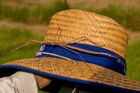 Stick Insect on the hat