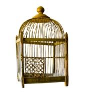 Cage Gold drawing