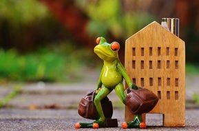 frog ready for travel
