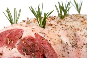fresh meat with herbs and coriander