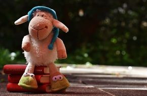 sheep sits on books