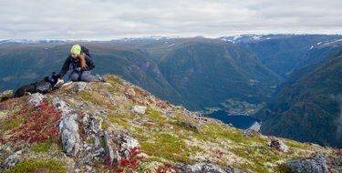 hiking with dog on distant view