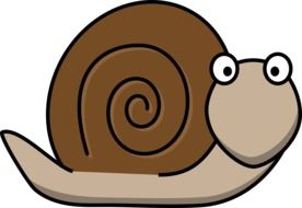 graphic image of a brown snail