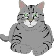 clipart of a gray kitten