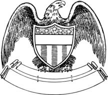 american Eagle with Shield and empty Banner, drawing