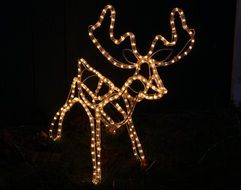 decorative reindeer for Christmas