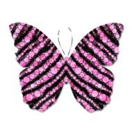 Pink and black butterfly