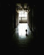 light at the end of the corridor