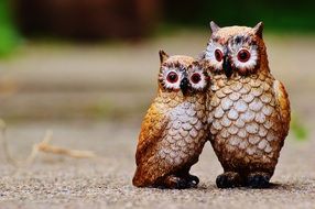 Figures of the owls