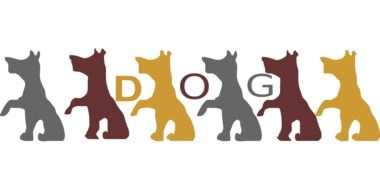drawing of multi-colored dogs