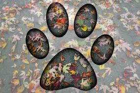 drawn dog trail on the background of autumn foliage