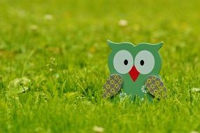 funny wooden owl on the green grass