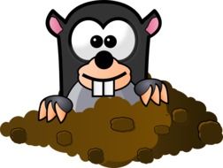 mole cartoon drawing