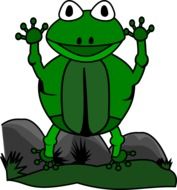 cartoon green frog