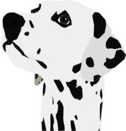Dalmatian Dog drawing