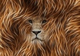 graphic portrait of a lion