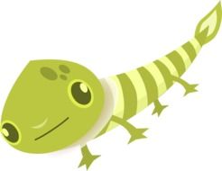 drawing of a green animal on a white background