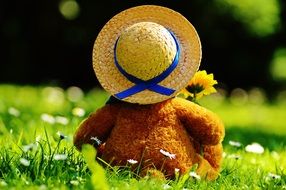 teddy bear sits with a yellow flower in the hands