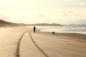 Beach Person with Dog