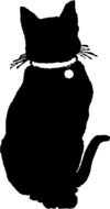 drawn black cat with a collar