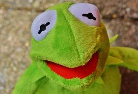 plush green frog