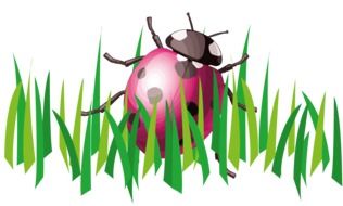 painted pink ladybug