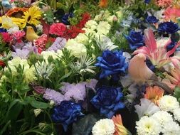 small bird among colorful bright flowers