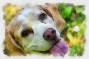 drawing watercolor home puppy