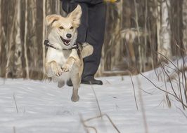Dog The Playground