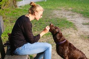 woman feeds a dog in nature