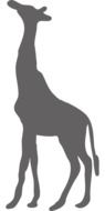 Giraffe Wild Animal drawing