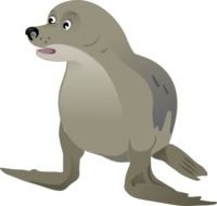 clipart of grey seal