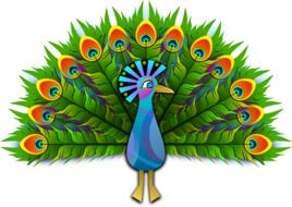 Peacock stylised clip art