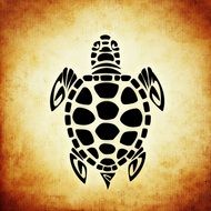 abstract image of a turtle in detail