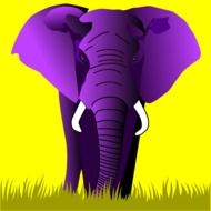 Purple Elephant as a colorful illustration