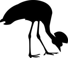 silhouette of a crowned crane