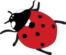 red Ladybug cartoon drawing