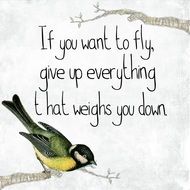 Bird Quote Motivational drawing