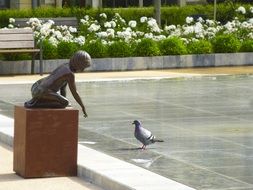 bird in the park near the sculpture